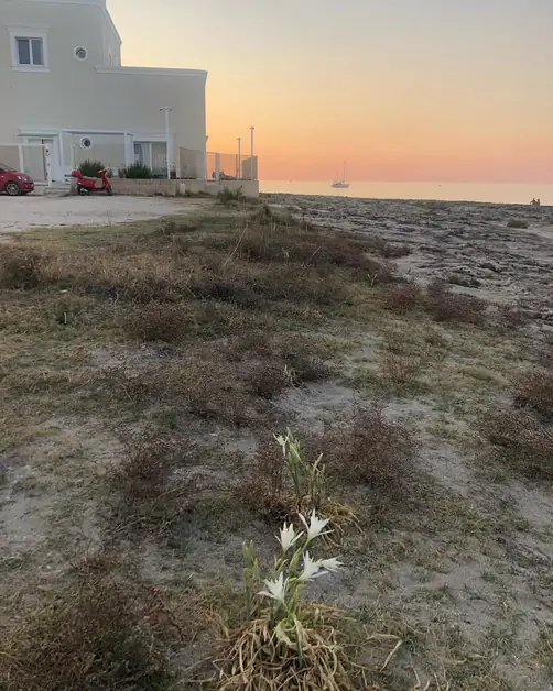 Camping Santo Stefano en Monopoli