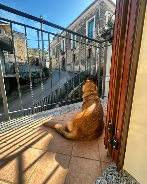 Polignano a Mare pet friendly