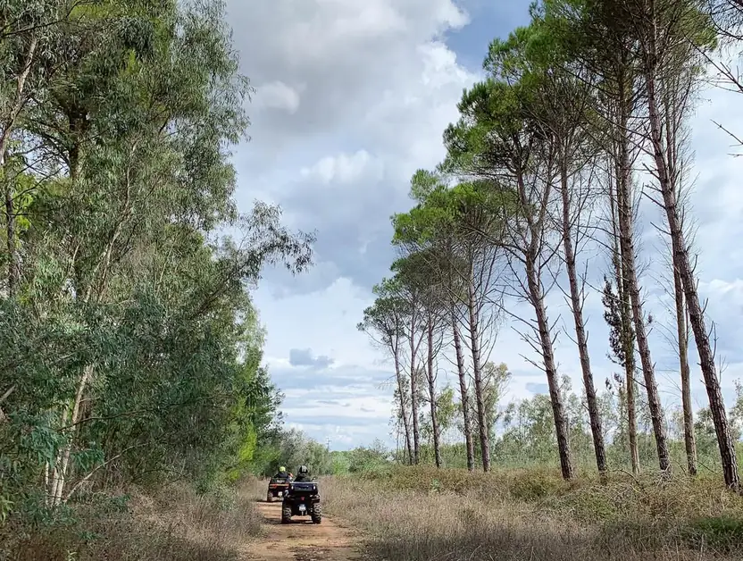 Avventura in quad ad Alberobello