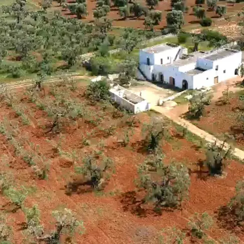Masseria Guadalupe: Kunst und Tradition