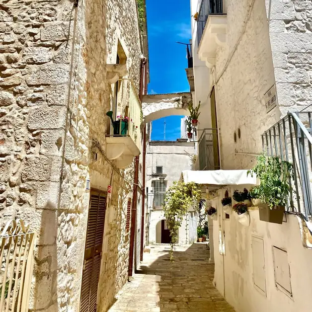 Scopri come arrivare a Cisternino!