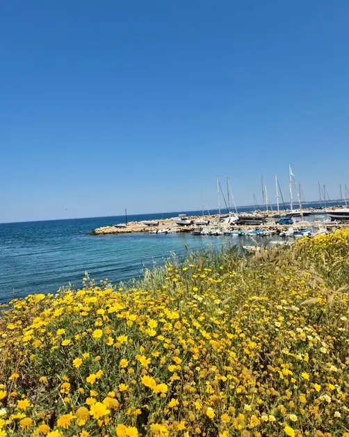Porto di Gallipoli: Tradizione e Modernità