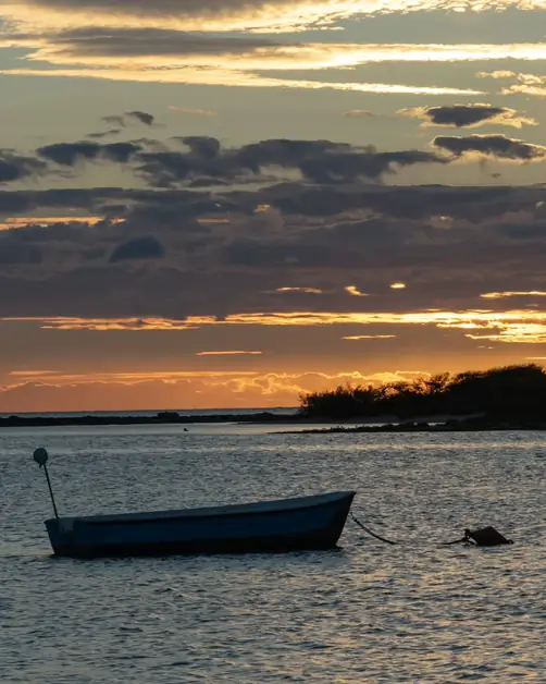 Porto Cesareo: Magia Notturna