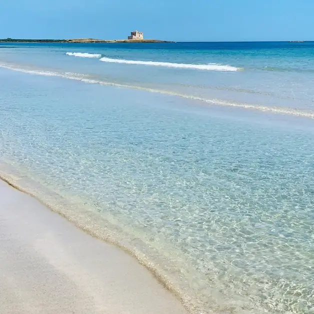 Visita Torre Guaceto: Novità Estive