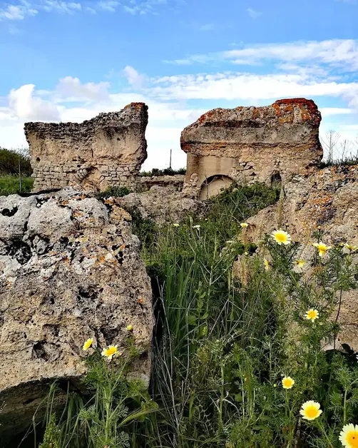 Découvrez les Thermes Romains de Malvindi à Mesagne