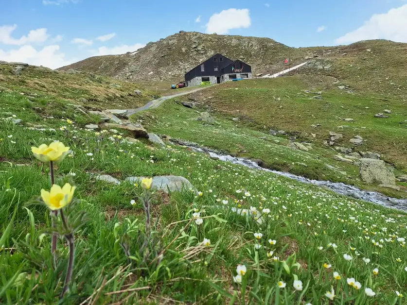Refuge Grand Tournalin : le guide complète pour le visiter