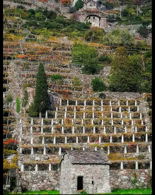 Expériences gastronomiques incontournables entre Donnas et Pont-Saint-Martin
