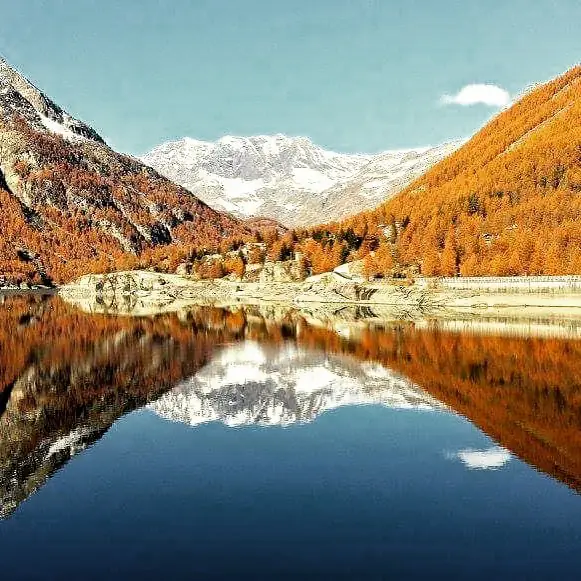Experiencias gratuitas imperdibles en el Parque Nacional Gran Paradiso