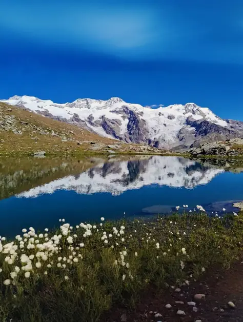 An exciting journey through wine and history in Aosta Valley