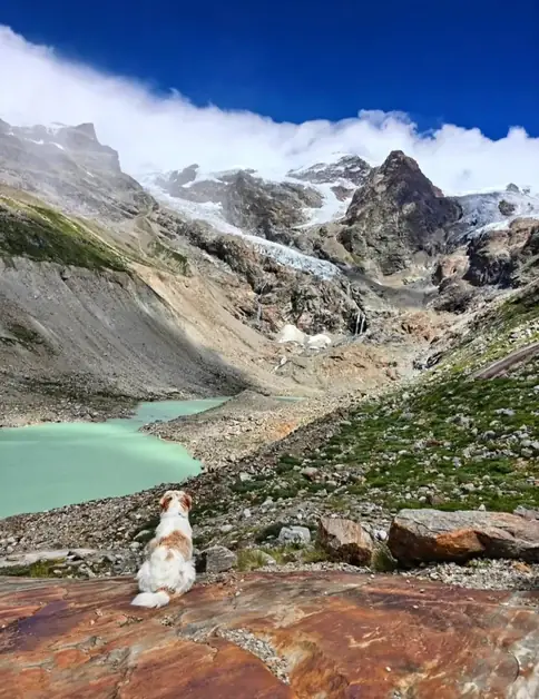 Aosta Valley with Your Dog for Unforgettable Hikes