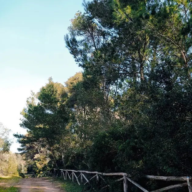 Entdecken Sie das WWF-Reservat Le Cesine im Salento