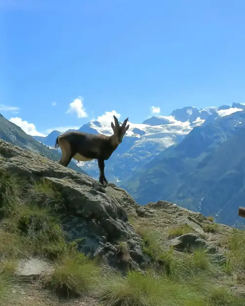 Erlebe die Berge mit der Pulsé-Seilbahn des Montseuc