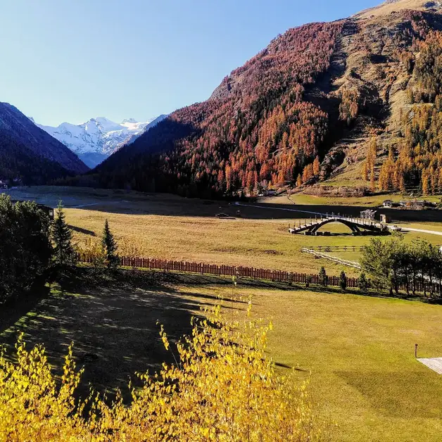 Die Wiese von Sant'Orso - ein Naturjuwel in Cogne