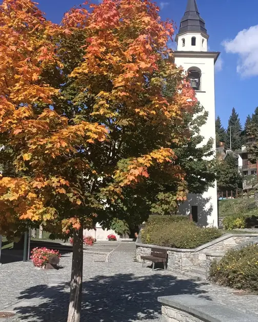 Chamois the mountain village without cars