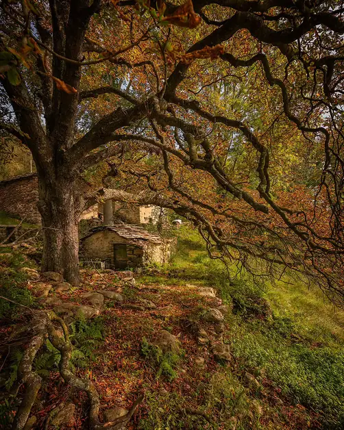 Scopri il Tracciolino il sentiero panoramico del Biellese