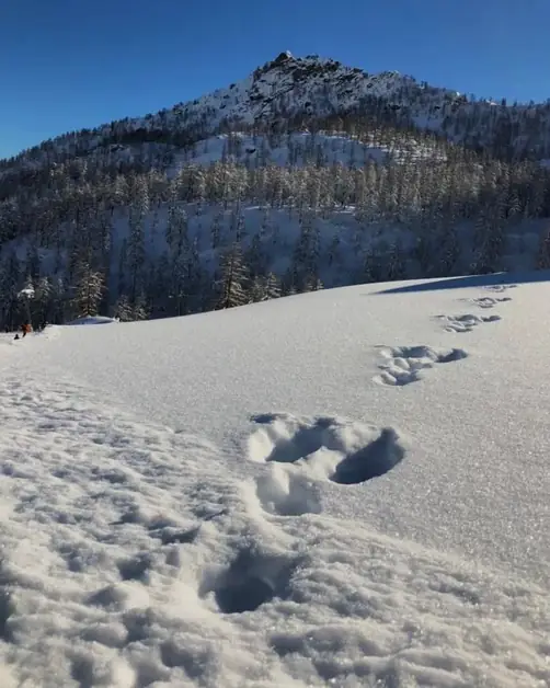 Champorcher的Mont Rascias滑雪和单板滑雪