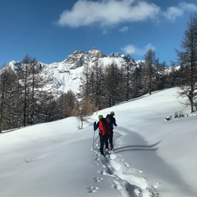 Randonnée en raquettes à Gillarey entre panoramas et nature sauvage