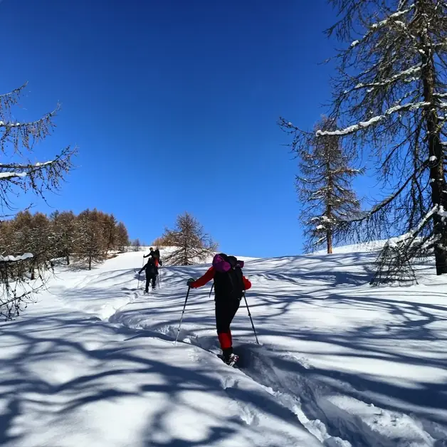 Raquette entre les Lacs de Pellaud et les Alpages de l'Entrelor