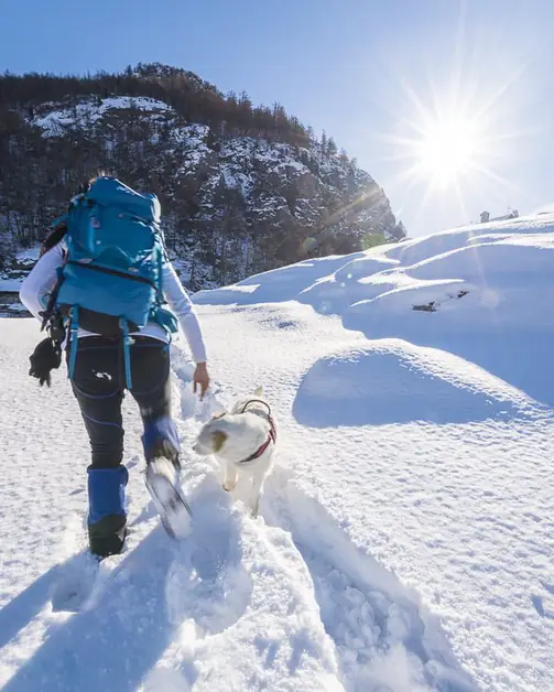 Randonnée en raquettes à Arnad entre nature et aventure dans la Vallée d'Aoste