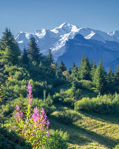 Unverzichtbare Wanderung vom Col de Joux zum Col Tzecore