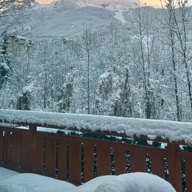 前往利莫内皮埃蒙特的完整指南