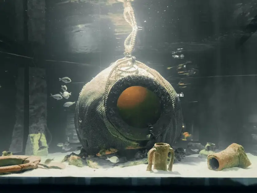 Visitez le Musée Archéologique National d'Egnazia