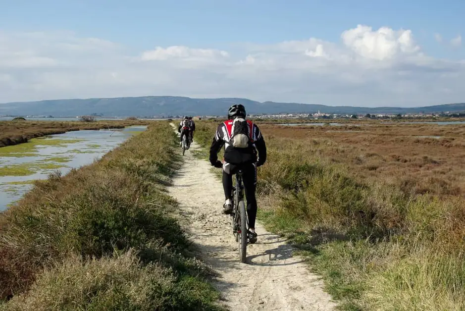 加尔加诺骑行之旅：沿海岸和乌姆布拉森林的路线