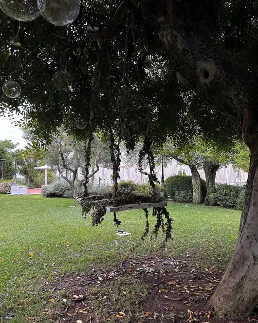 Bitonto: oil and traditions