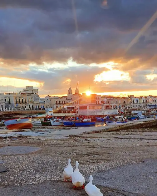 Bitonto and the distance to the sea