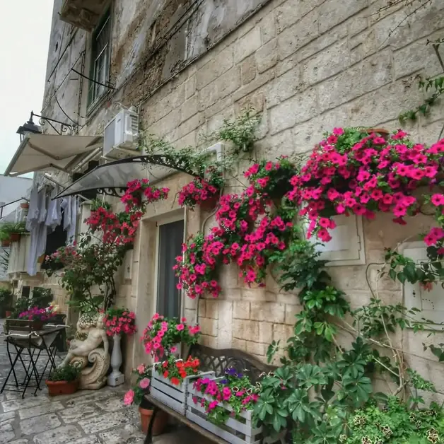 Monopoli and its historic center