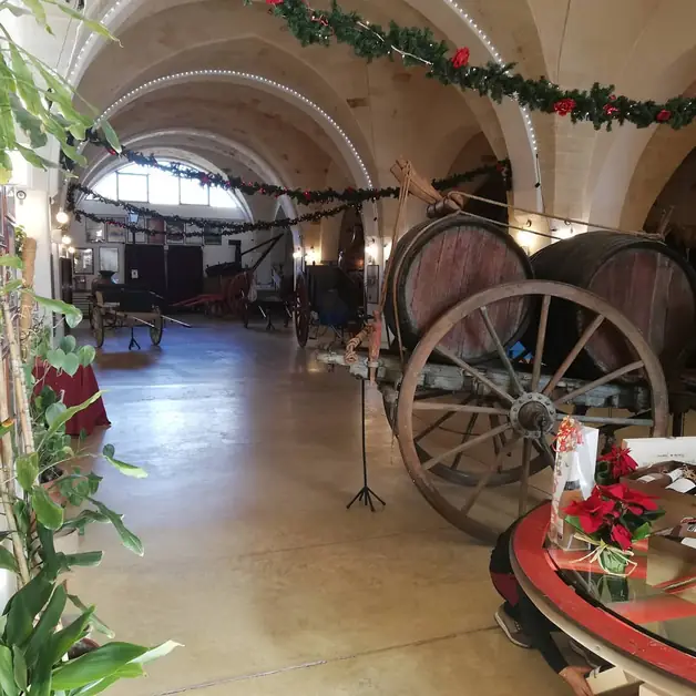 Discover the Wine Museum