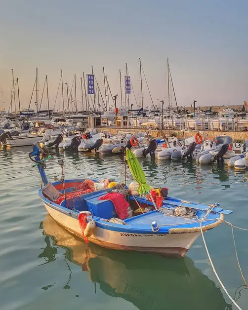 Sailing in Gargano: Moorings and Sea