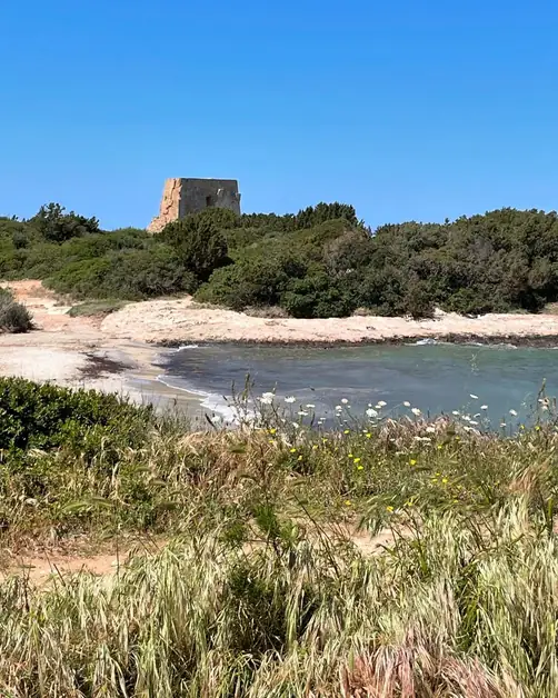 Torre Pozzella Campsite: Freedom and Sea