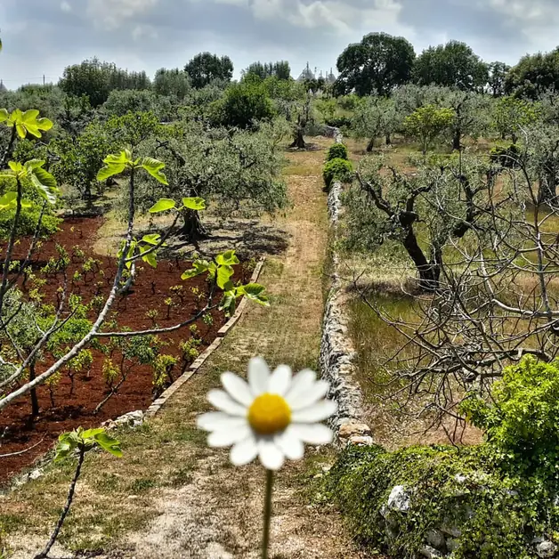 Discover Caranna, Authentic Puglia