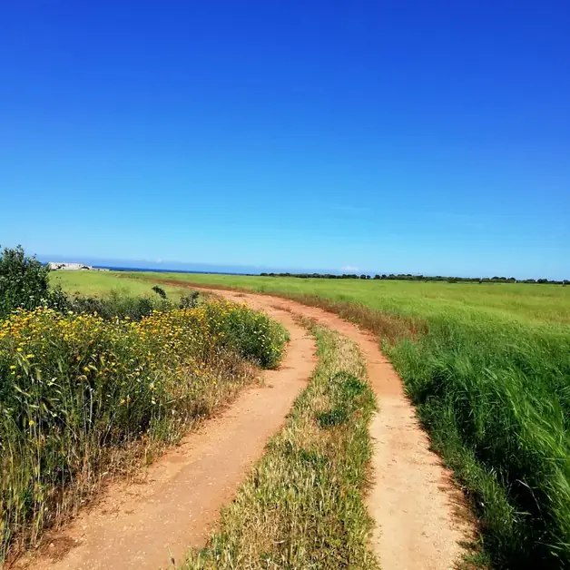 Discover the Coastal Dunes Park in Ostuni