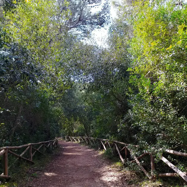 Discover the Le Cesine Nature Reserve near Otranto