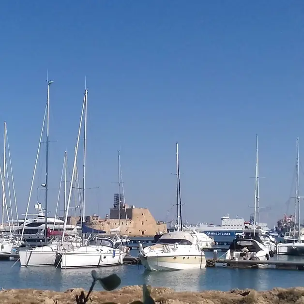 Discover the Magical Marina