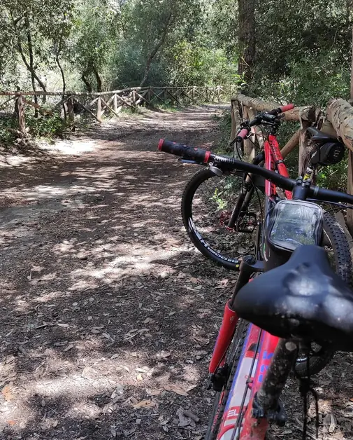 Discover why Le Cesine is the cycling paradise