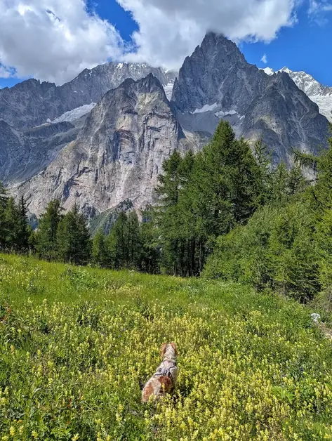 Best Walking Trails in Aosta Valley with Your Dog