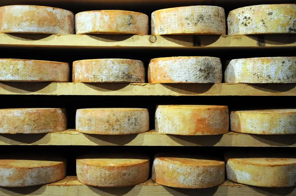 Fontina Valle d'Aosta the cheese you must try