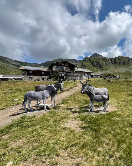 Mont Fallère Refuge in Aosta Valley for Tourists