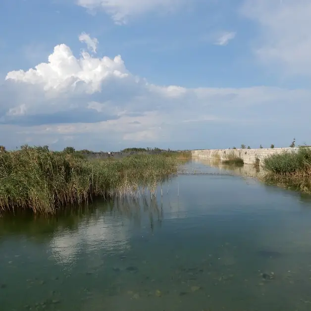 Explore the magical Ariscianne-Boccadoro wetland