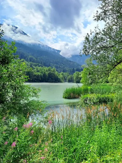 Explore the Pautex Marais di Morgex Trail