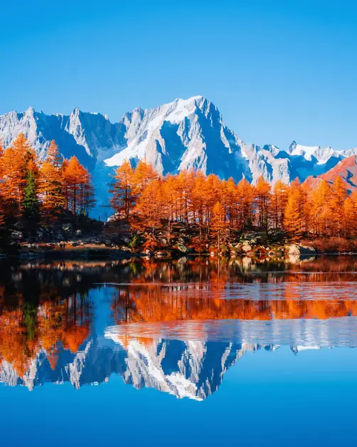 Foliage in Courmayeur for an unforgettable autumn