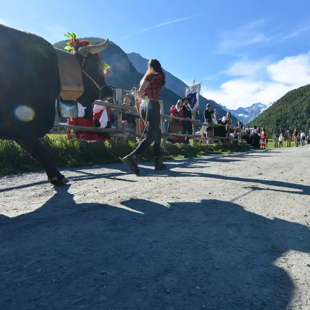 The Devétéya of Cogne an unmissable event