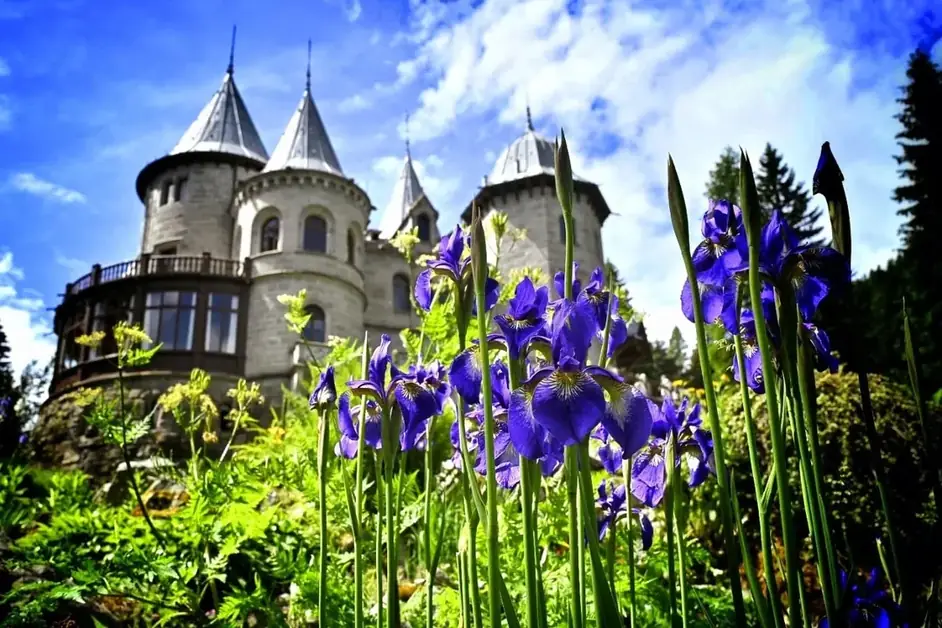 Visit the Savoia Castle in Aosta Valley