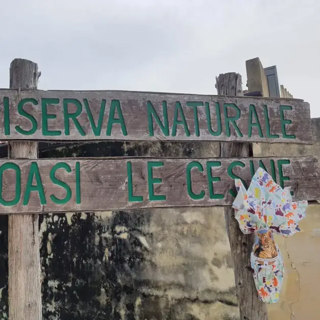 WWF Le Cesine a dog friendly paradise in Salento
