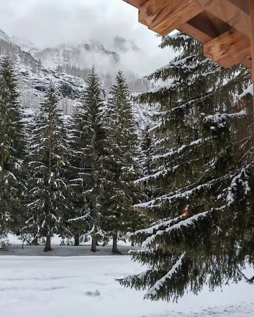 Dream Winter in the Lys Valley