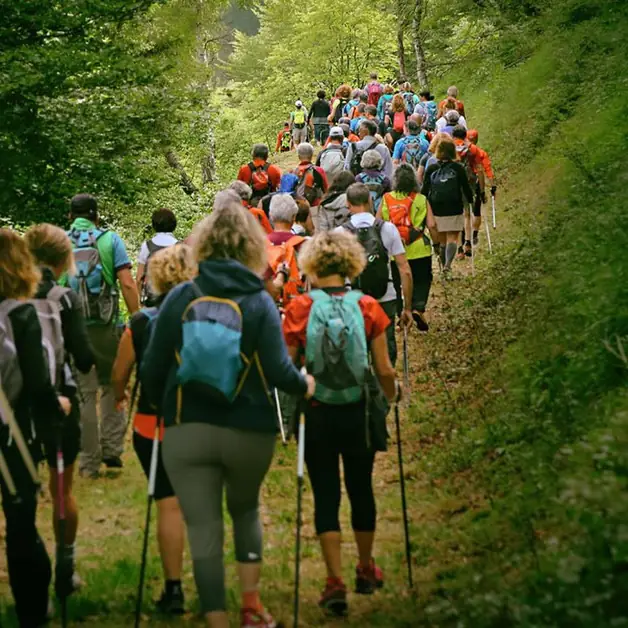 Experience Nordic Walking in Oasi Zegna