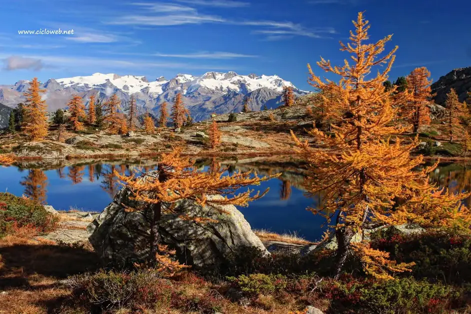 Explore the Mont Avic Natural Park in Aosta Valley